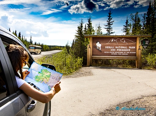 Car stopped at Denali Park sign