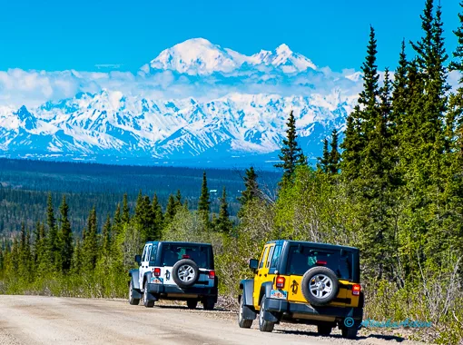 view of mt. denali from parks highway