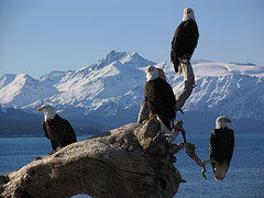 alaskasights
