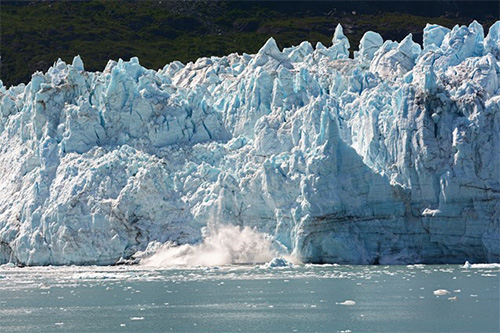 Glacier Bay Whale Watching Marc