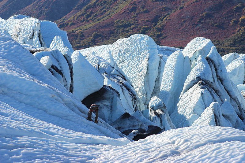 Glaciers And Alaskan Wildlife John