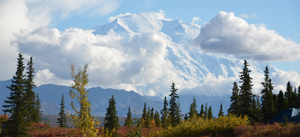 Three Tours With Go Alaska
