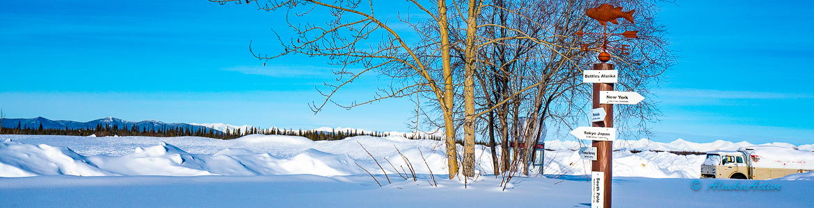 Alaska Winter Landscape