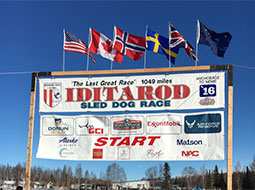 Iditarod Sled Dog Race Anchorage